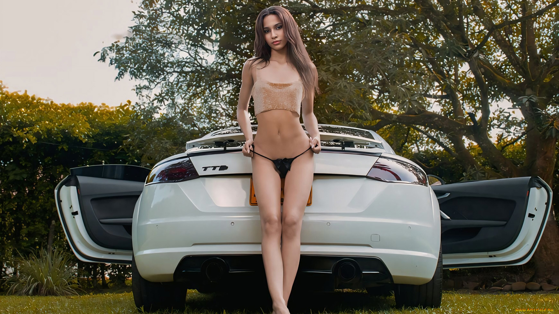 , -  , , 